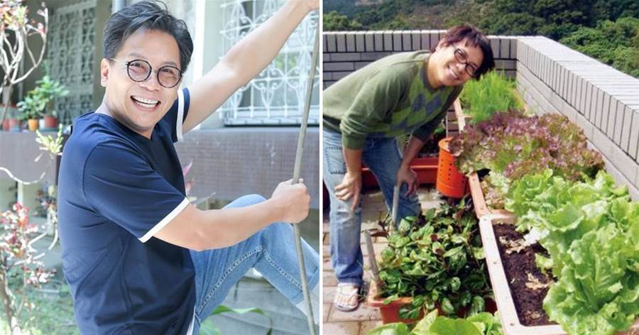 55歲許傑輝頂樓變菜園，自己種菜自己吃，當「城市農夫」20年，不只為吃菜，更是心靈的棲所：是一種修行