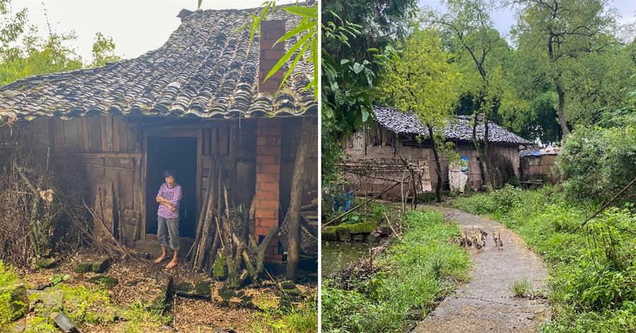 64歲老人在清朝古寨獨自生活，養養雞鴨貓狗，還種了菜，與世無爭，如同世外桃源一般